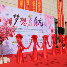 杭州一鸿市场经营管理有限公司 专业活动庆典服务，激活商业新活力